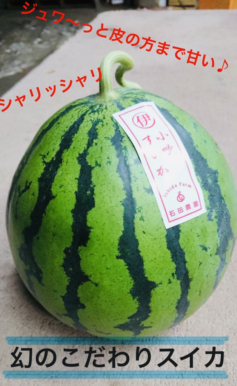 2玉セット 幻の伊勢吉西瓜 小吹スイカlサイズ4 7 6 5kg A品 農家漁師から産地直送の通販 ポケットマルシェ