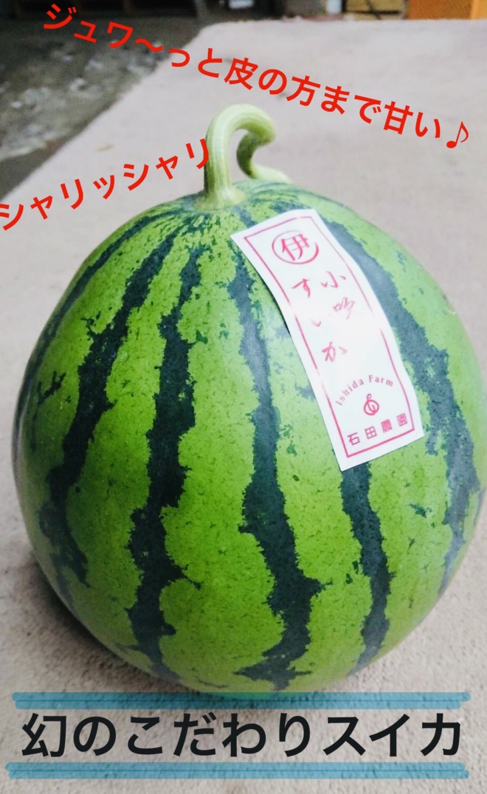 幻の伊勢吉西瓜 小吹スイカlサイズ4 7 6 5kg A品 農家漁師から産地直送の通販 ポケットマルシェ