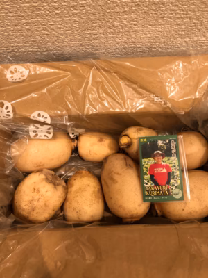 みんなの投稿の画像