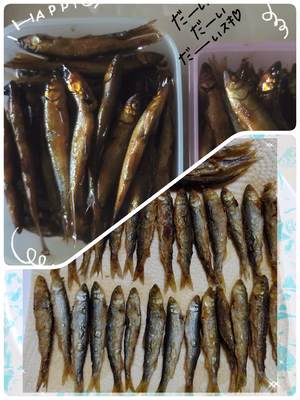 みんなの投稿の画像