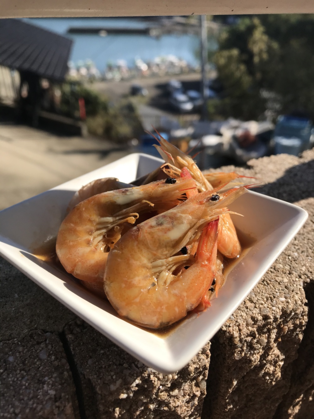 バックナンバー]ひな祭りはエビ祭りかな🦐それとも…？ 今週のおすすめ