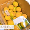 甘みかん【ゆら早生】有田みかん　3kg　家庭用　低農薬