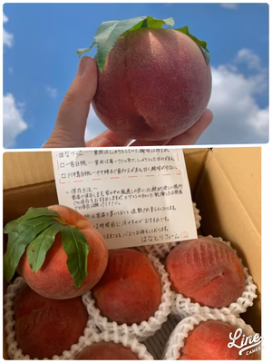 みんなの投稿の画像