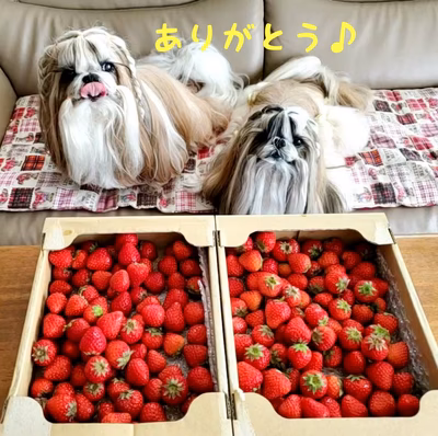 みんなの投稿の画像