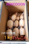 【福袋2023】本日最終受付！残り７箱限定！使いやすいレンコン1kg