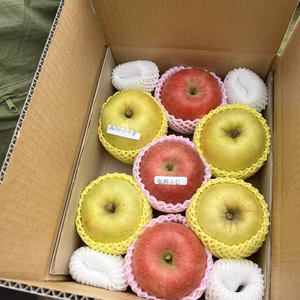 りんご紅白詰め7個〜9個入り　ギフトにも