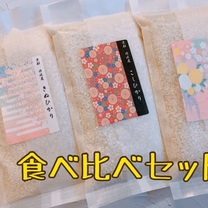 令和元年産　お米3品種食べ比べセット　コシヒカリ、キヌヒカリ、ミルキークイーン