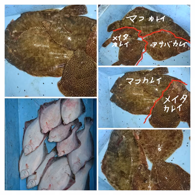 みんなの投稿の画像