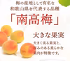 冷凍南高梅（3L)　1ｋｇ