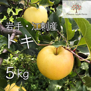 岩手江刺産トキ5キロ　あまくてすっきり！香りいい