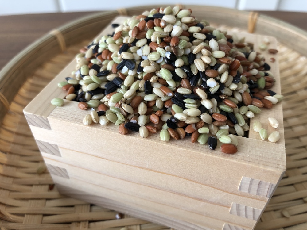 毎月1回発送【五色米】1㎏／5種類のお米をブレンド／農薬・化学