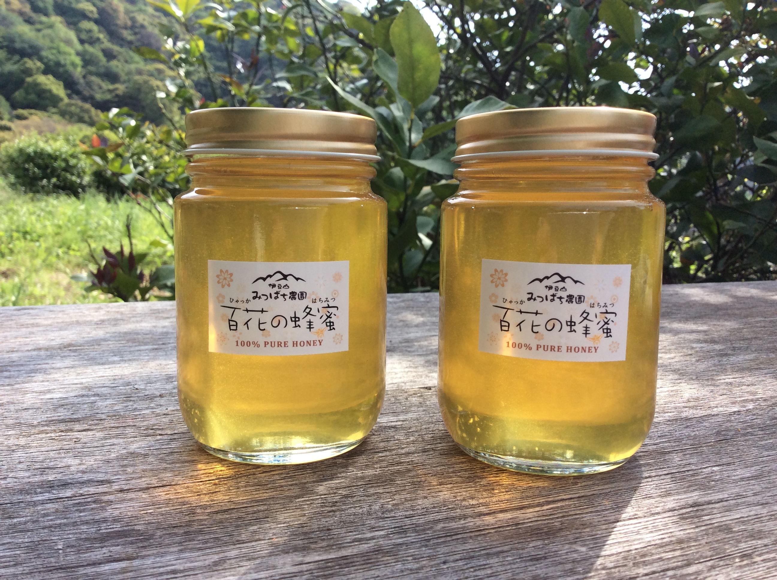 2023初採れ 熱海の生はちみつ270g 2本セット ｜蜂蜜の商品詳細