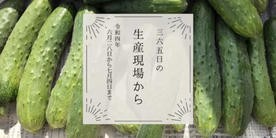 6月28日〜7月4日の生産現場から、小暑の31投稿！