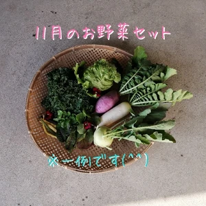 11月のお野菜セット　淡路島よりAwajicHorrorGarden