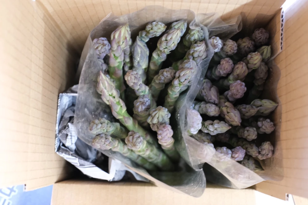【お買い得品/訳あり/クール便】那須の麓の朝採りアスパラガス
