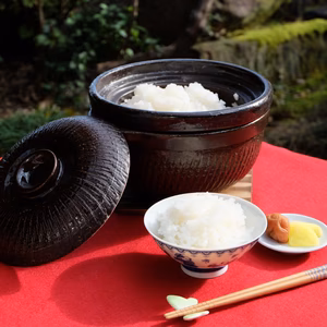 令和5年産 【 農薬不使用・化学肥料不使用 】特別栽培米 コシヒカリ 玄米