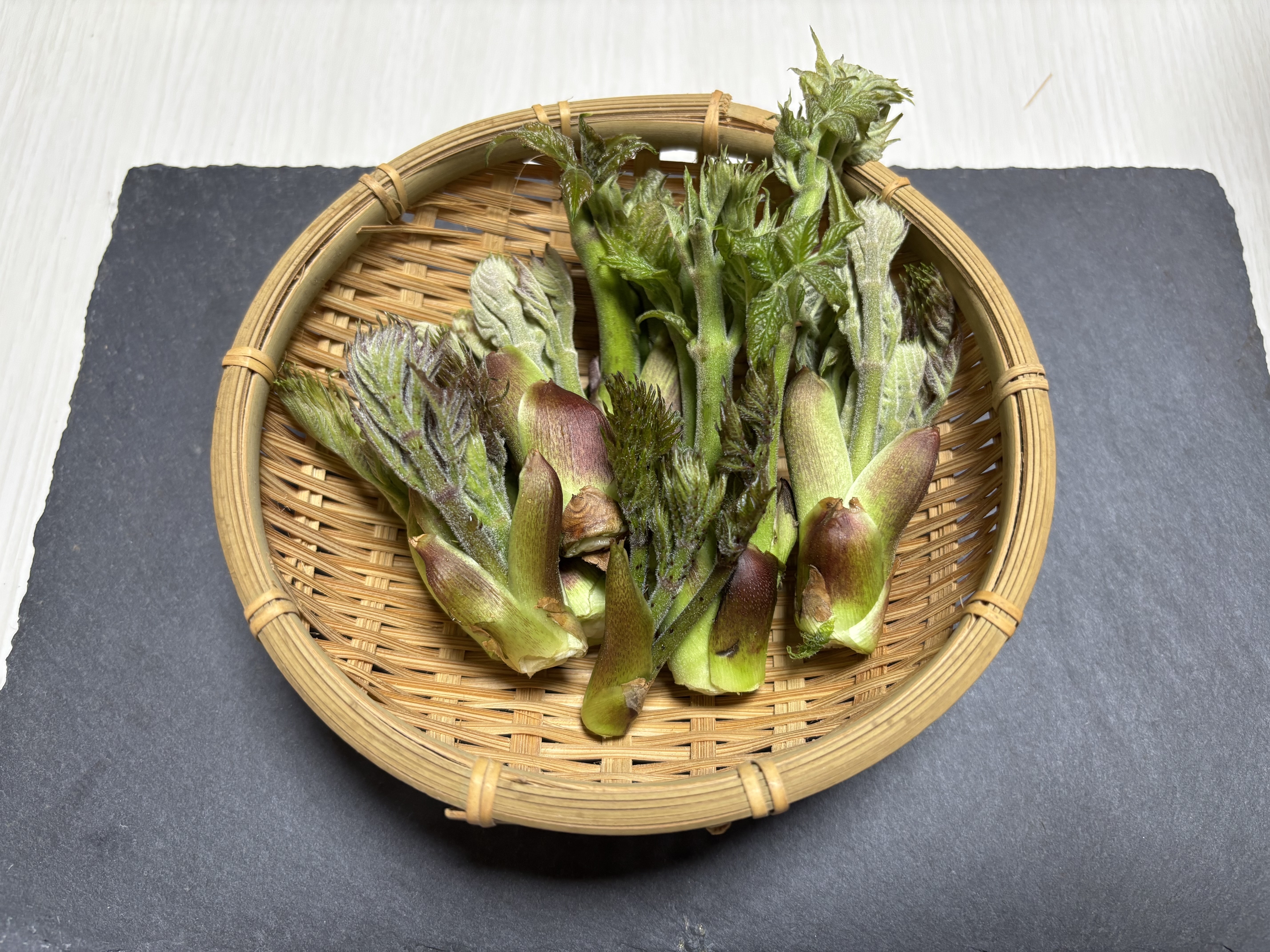 季節限定!【採れたて天然タラの芽】|タラの芽の商品詳細 季節限定!【採れたて天然タラの芽】|タラの芽の商品詳細