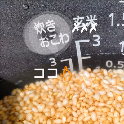 みんなの投稿の画像