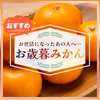 有田みかん 秀品 お歳暮 早生 減農薬 産地直送 濃厚 高糖度