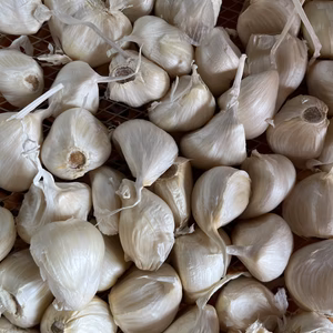 【不定期お得便】青森県産にんにくばら