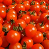 採れたてフルーツトマト！農学博士のDr.トマト【常温便】