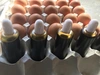 にわとり農家の卵黄油　滴下ボトル50ｃｃ入り 平飼い卵 たまご