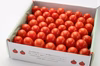 11月発送【赤い宝石箱】濃厚ミニトマト　日時指定可能　御歳暮・ギフト・贈り物　