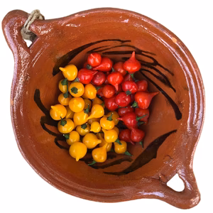 キュートな甘口唐辛子！イエローフォフォ＆ビキーニョセット