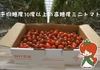 高糖度ミニトマト　「あまりこ」2キロ詰め箱