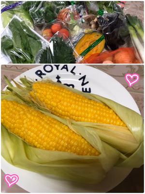 みんなの投稿の画像