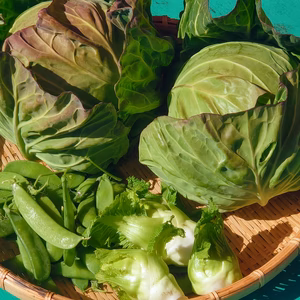 春キャベツ・絹さや・金山寺味噌の詰め合わせ