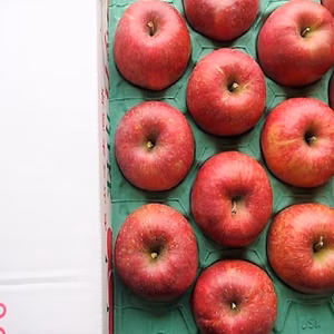 かぐや姫印　完熟サンふじりんご３Ｌサイズ５ｋｇ