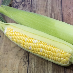 訳あり品　果汁あふれる人気品種　ドルチェドリーム