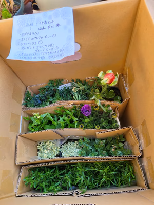 みんなの投稿の画像