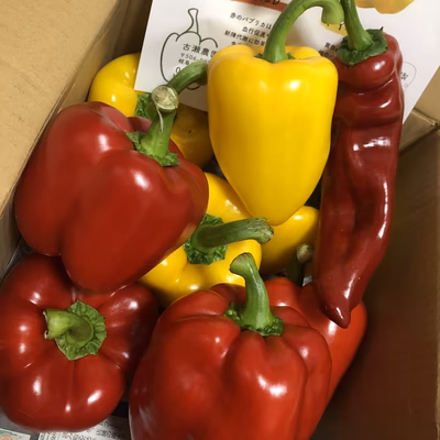 みんなの投稿の画像