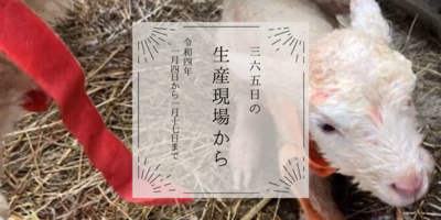1月4日〜17日の生産現場から、大寒の33投稿！