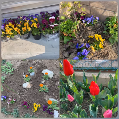 みんなの投稿の画像