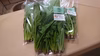 無農薬で栽培。葉物野菜万歳セット