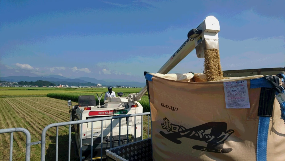 令和５年産 新米【 農薬不使用・化学肥料不使用 】特別栽培米 コシヒカリ 白米 