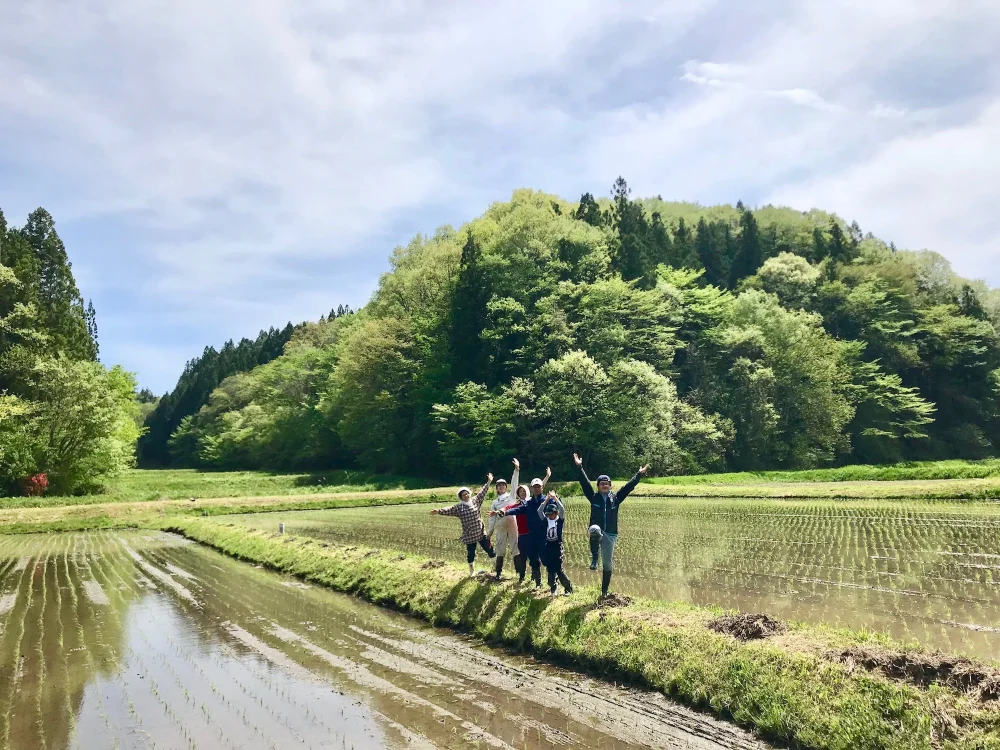 つぶつぶ美味しい！　石川県能登半島産 コシヒカリアモーレ [ 白米 ]