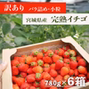 【訳あり特価品】ボリュームたっぷり！完熟小粒イチゴ 780ｇ×6箱