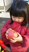 りんごの王様【サンふじ】家庭用5キロ