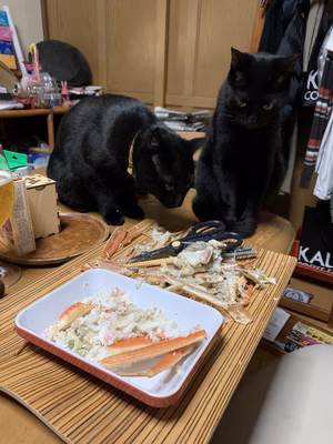 みんなの投稿の画像