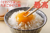 大好評★お米【特別なオマケ付】冷めても美味い「ミヤハラ米」11年連続食味特A品種