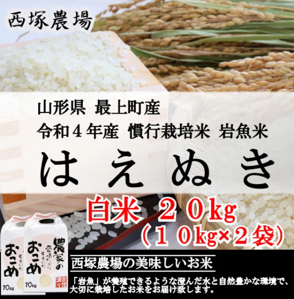 【山形県産　新米】慣行栽培米 はえぬき 岩魚米（白米20kg）