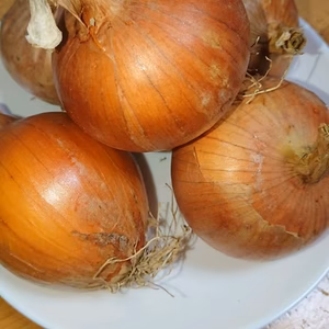 SKYSEA農園特製玉ねぎ