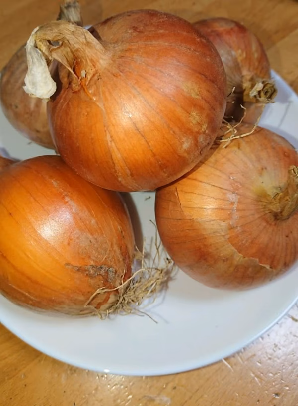 SKYSEA農園特製玉ねぎ