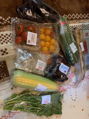 みんなの投稿の画像