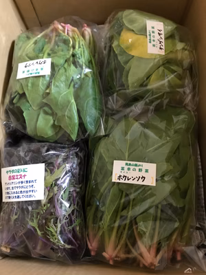 みんなの投稿の画像