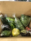 季節路地野菜おまかせ野菜セット12品プラス枝豆400g